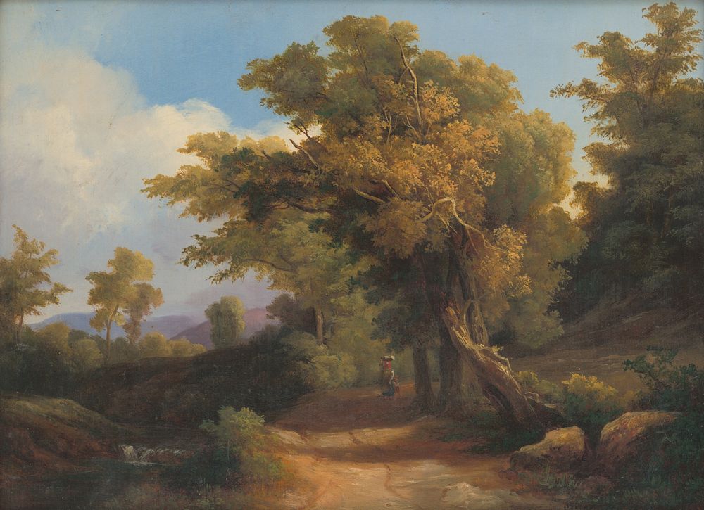 Forest landscape, Gejza Szilassa