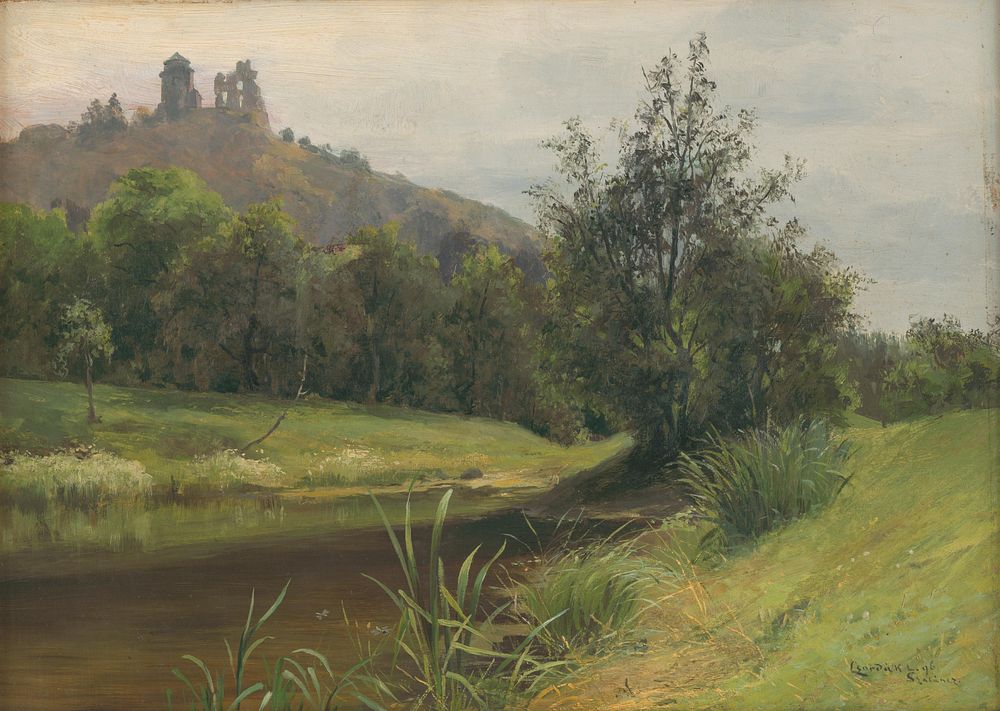 Swamp under slanecký castle by Lajos Csordák
