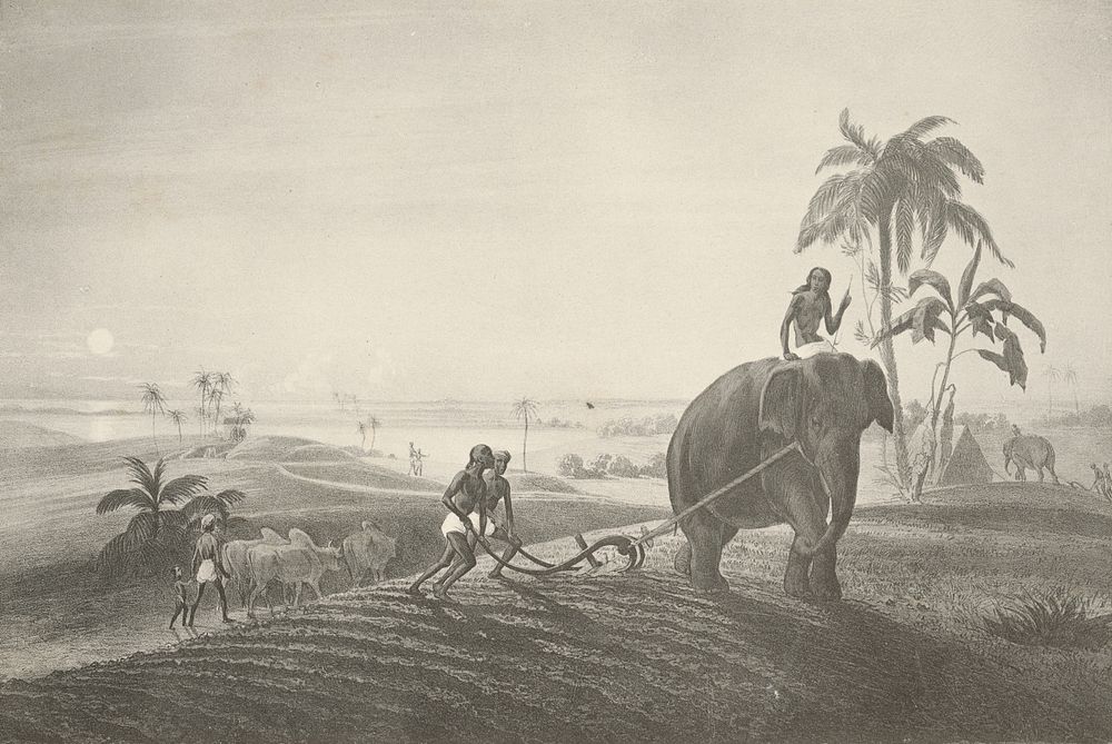 Plowing with elephants (motive from the journey through east india iii.)