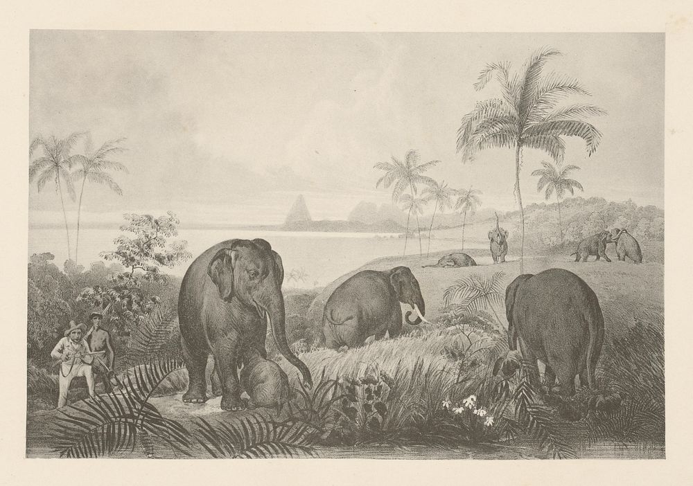 Elephant hunting with stalking hunters (motif from the journey through east india xiii.), Emanuel Andrássy