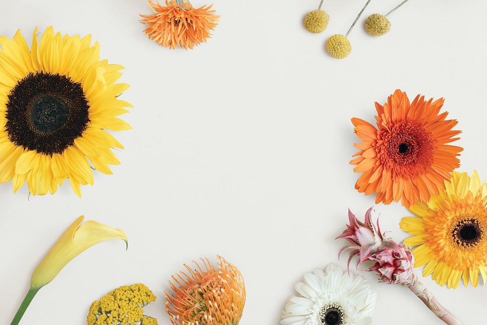 Sunflower border frame background photo