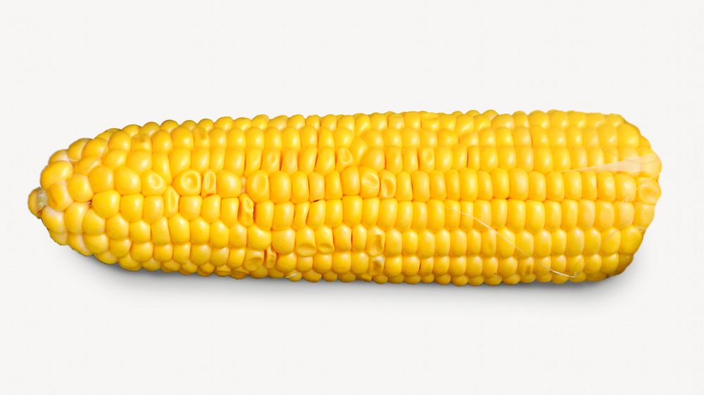 Boiled corn collage element, isolated image