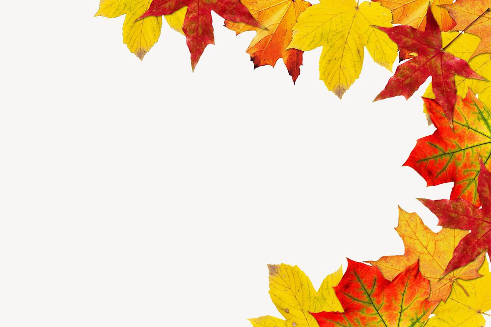 Autumn leaves, border background    image