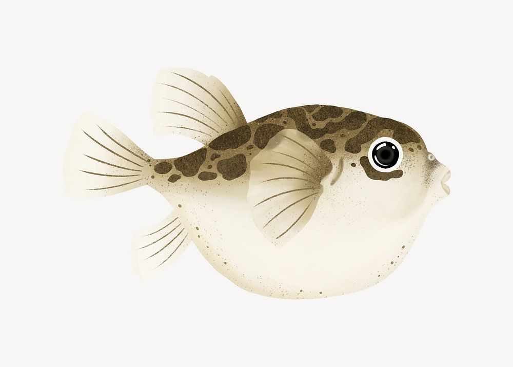Puffer fish, cute hand drawn illustration