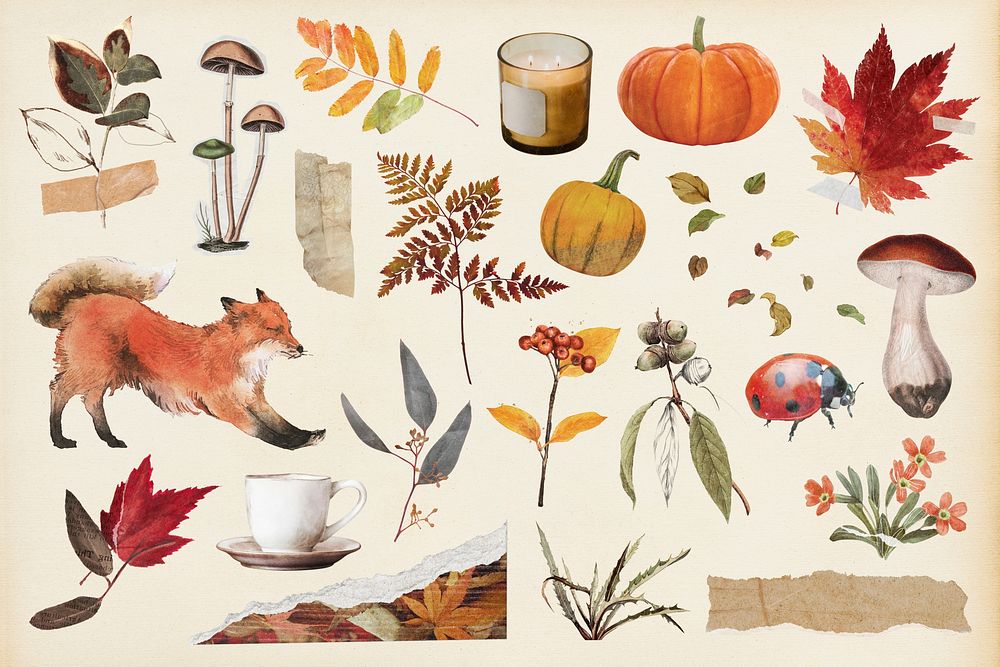 Aesthetic Autumn, seasonal collage element set psd