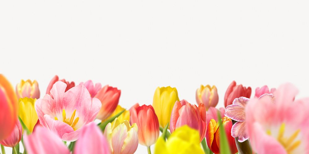 Spring flower field background, colorful design