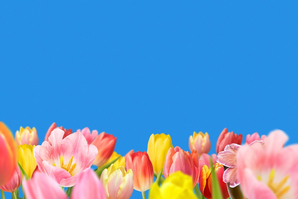 Spring flower field background, colorful design