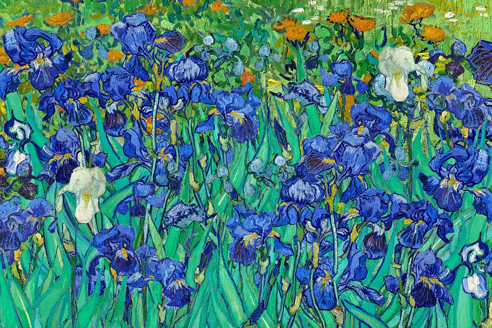 Van Gogh's Irises background, famous painting, remixed by rawpixel