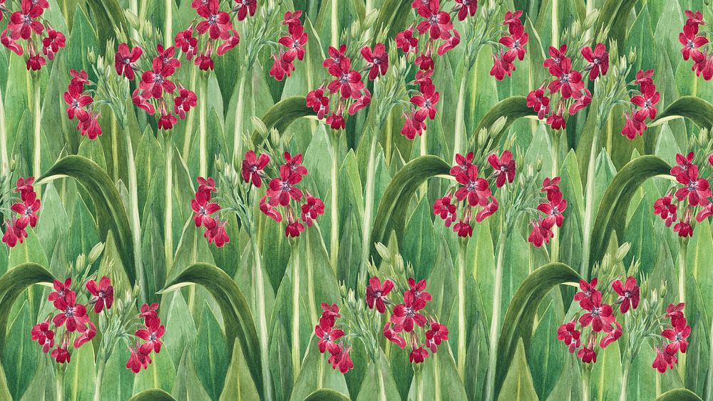 Primrose patterned desktop wallpaper, Mary | Premium Photo Illustration