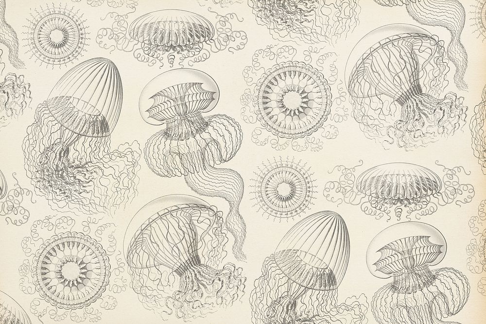 Vintage jellyfish pattern background, marine life illustration by Ernst Haeckel, remixed by rawpixel