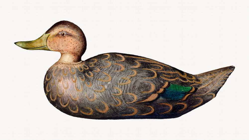 Decoy Duck, animal illustration by Harriette Gale, remixed by rawpixel