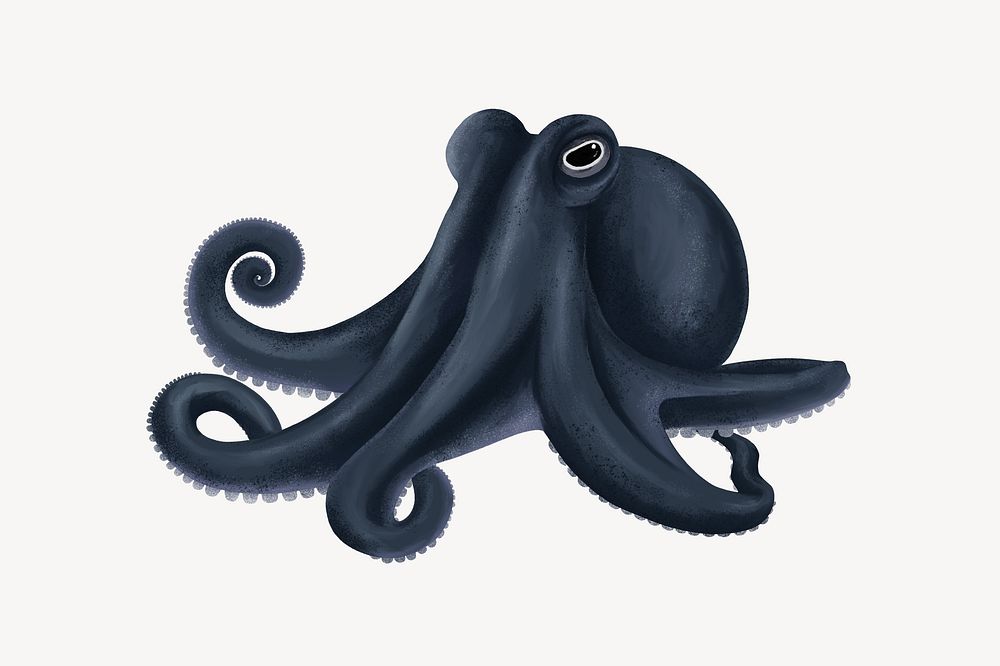 Black octopus animal illustration, white background