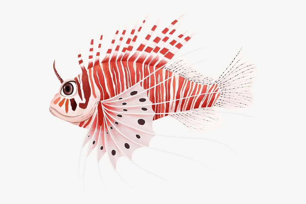 Red lion fish, animal illustration, collage element psd