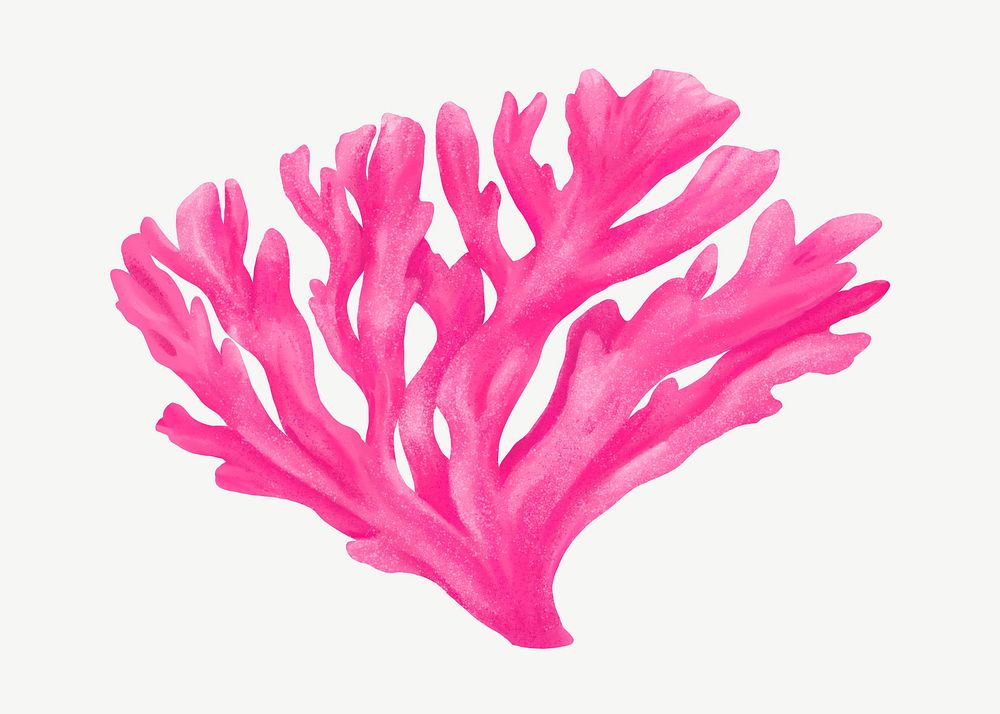 Pink coral, nature illustration collage element psd