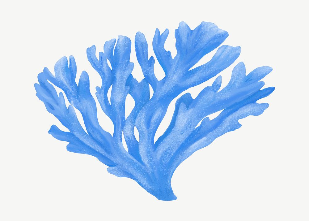 Blue coral, nature illustration collage element psd