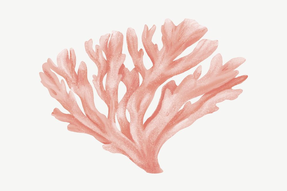 Pastel pink coral, nature illustration collage element psd