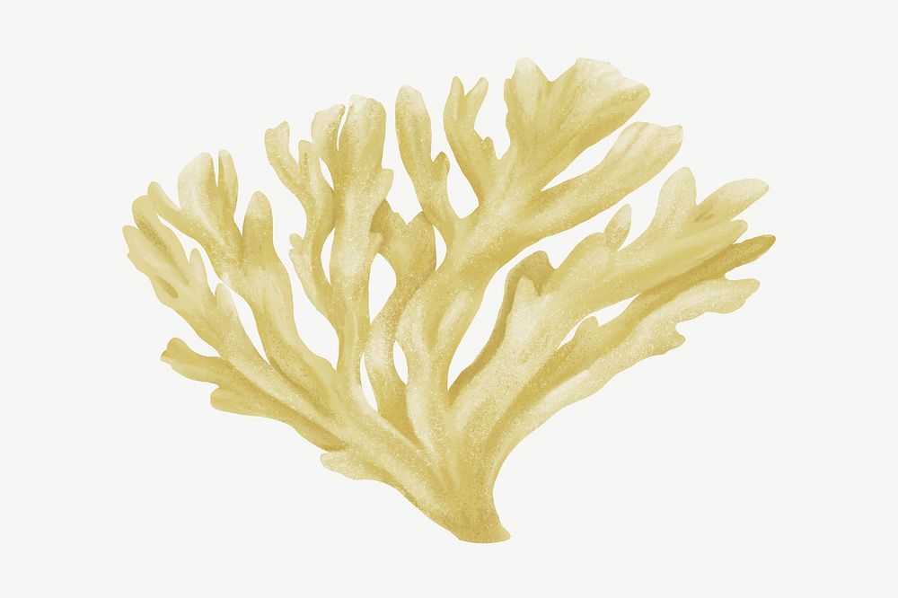 Beige coral, nature illustration collage element psd