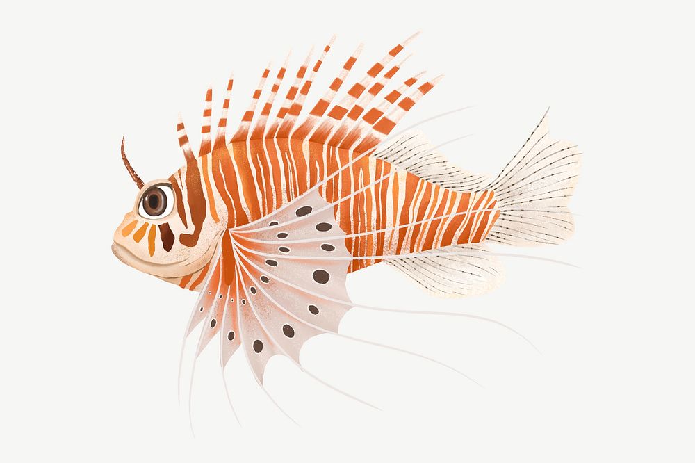 Lion fish, animal illustration, collage element psd