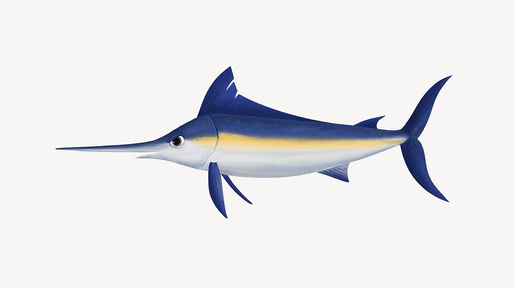 Marlin fish desktop wallpaper background