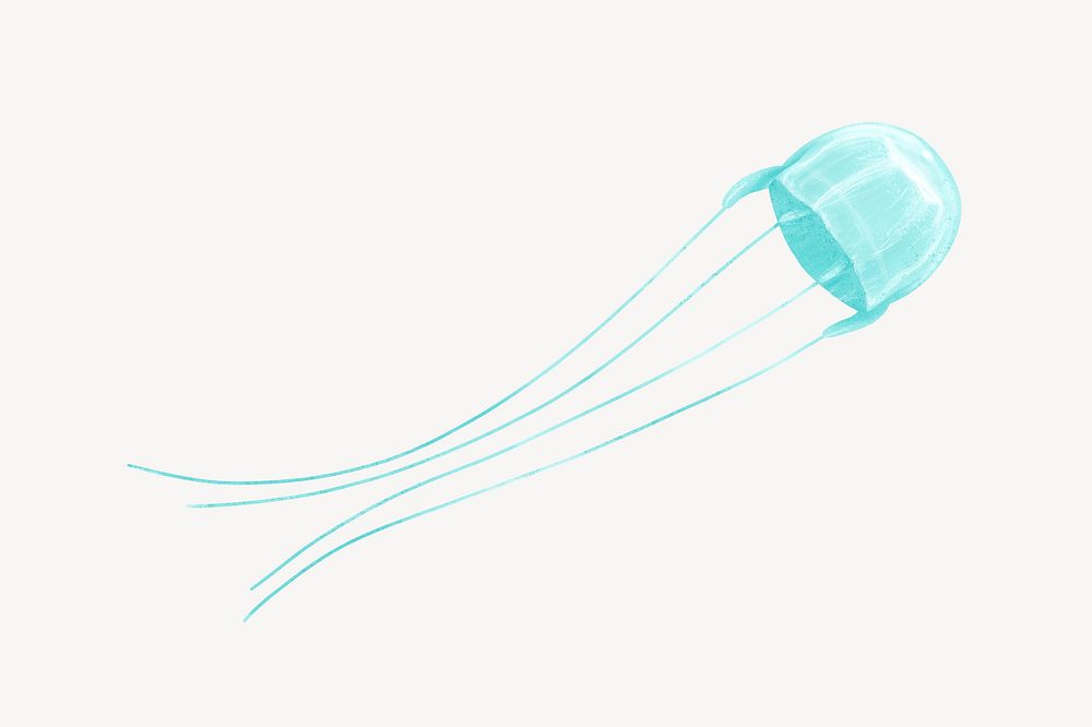 Turquoise jellyfish animal illustration, white background