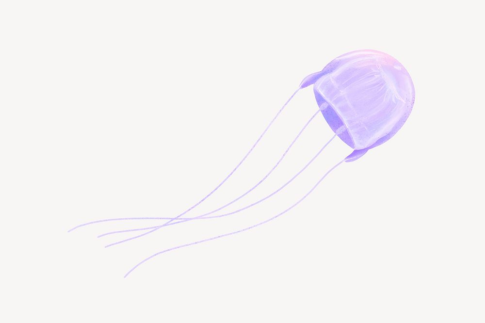 Purple jellyfish animal illustration, white background