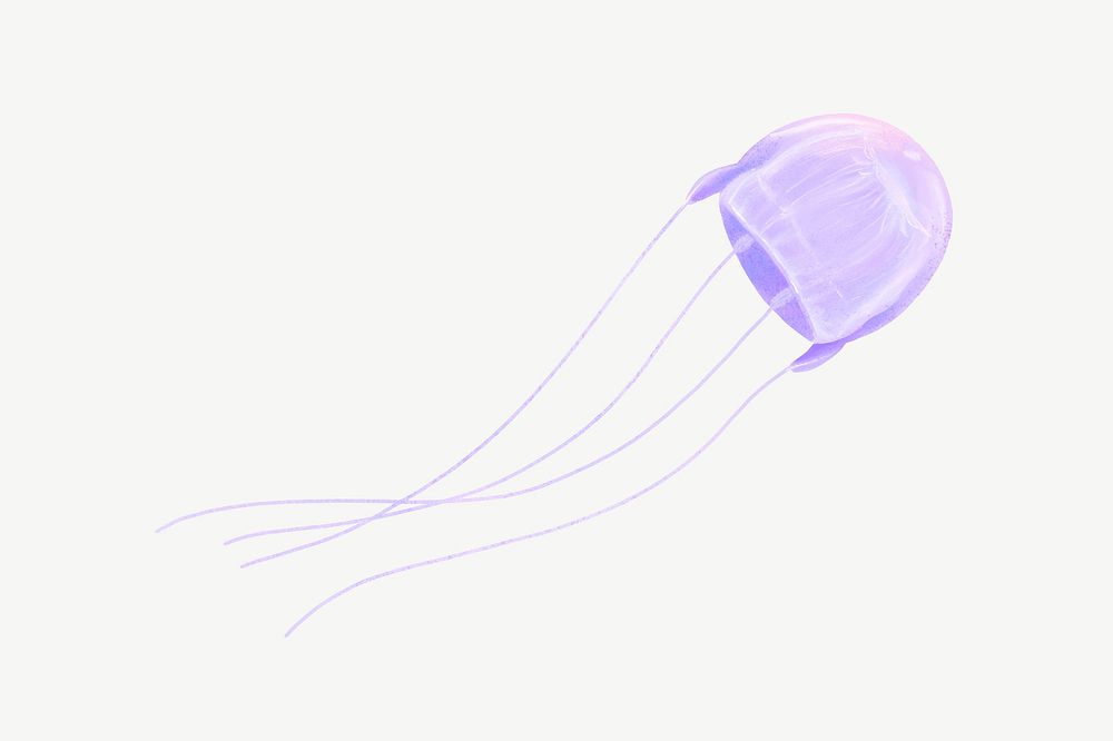 Purple jellyfish, animal illustration, collage element psd