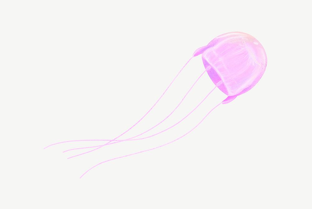 Pink jellyfish, animal illustration, collage element psd