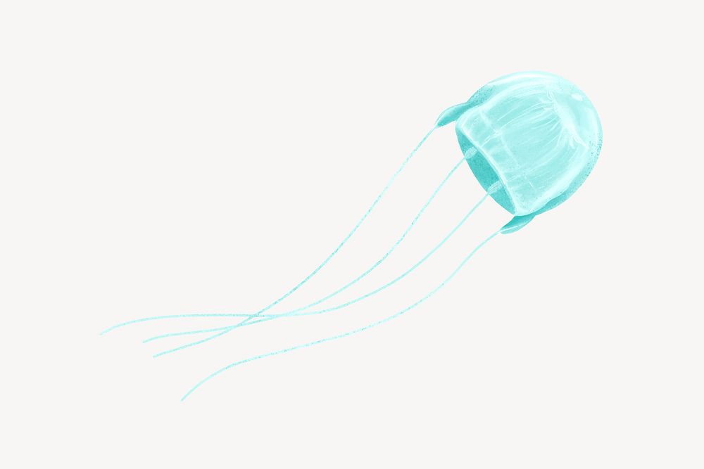 Turquoise jellyfish animal illustration, white background