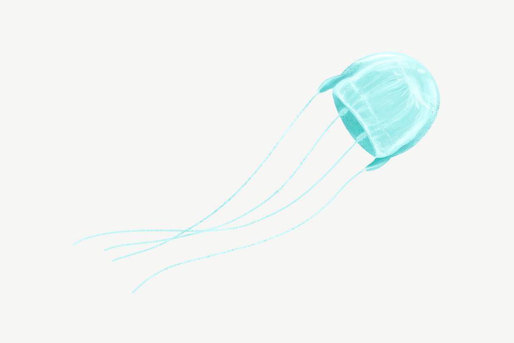 Turquoise jellyfish, animal illustration, collage element psd