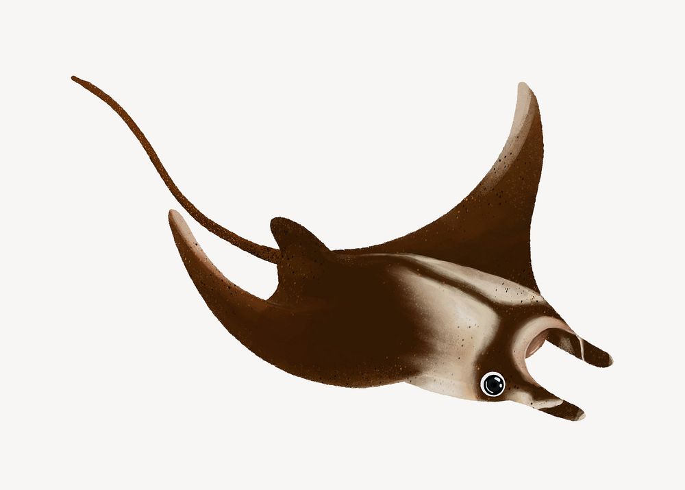 Manta ray, cute hand drawn illustration