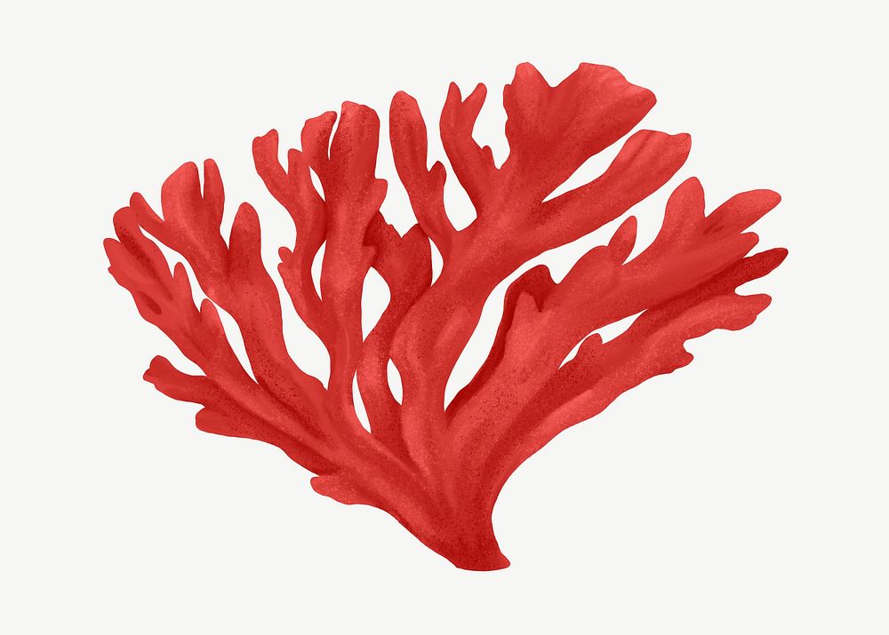 Red coral, nature illustration collage element psd