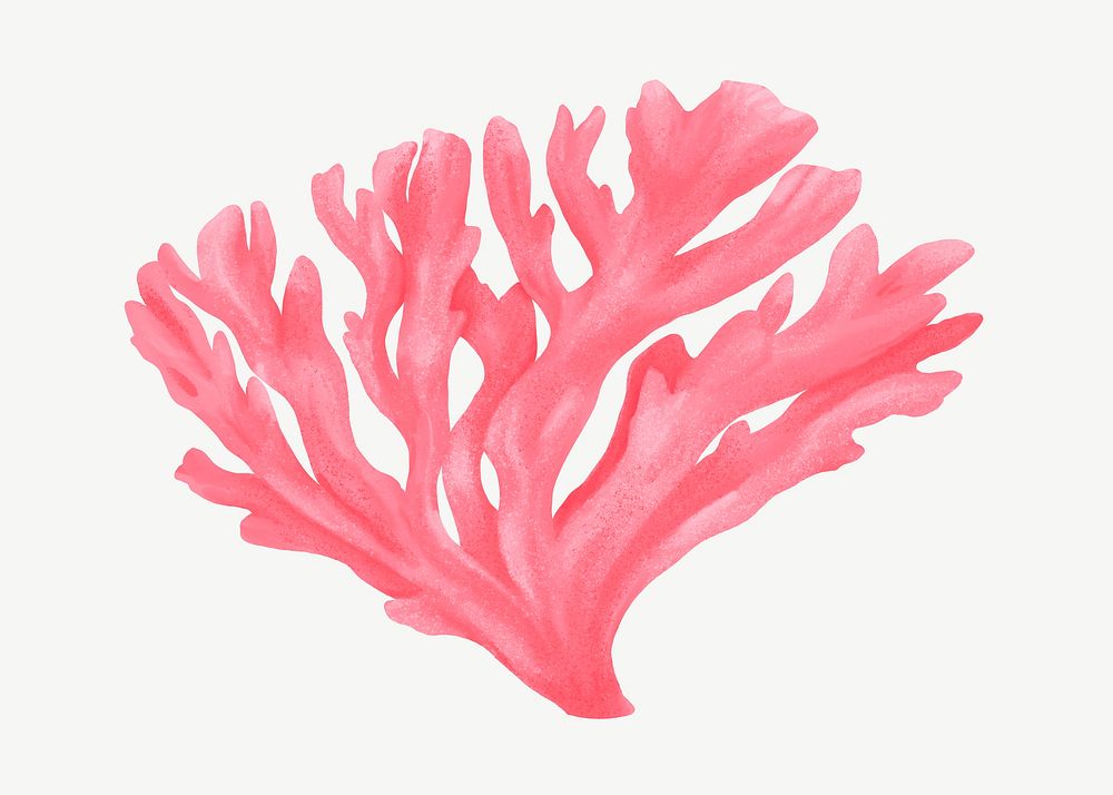 Pink coral, nature illustration collage element psd