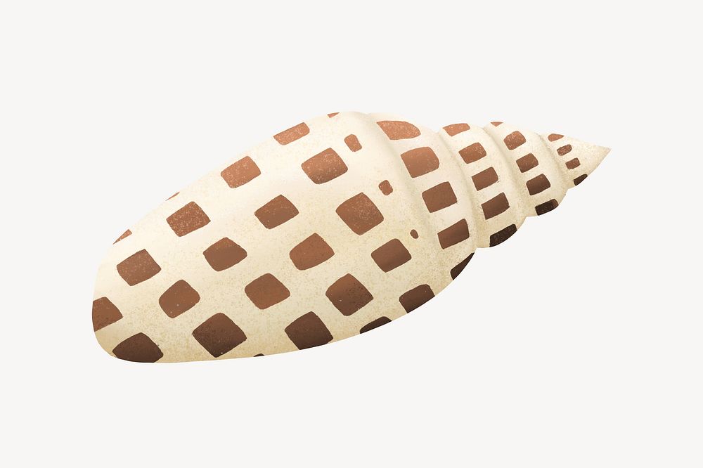 Beige sea shell, animal illustration