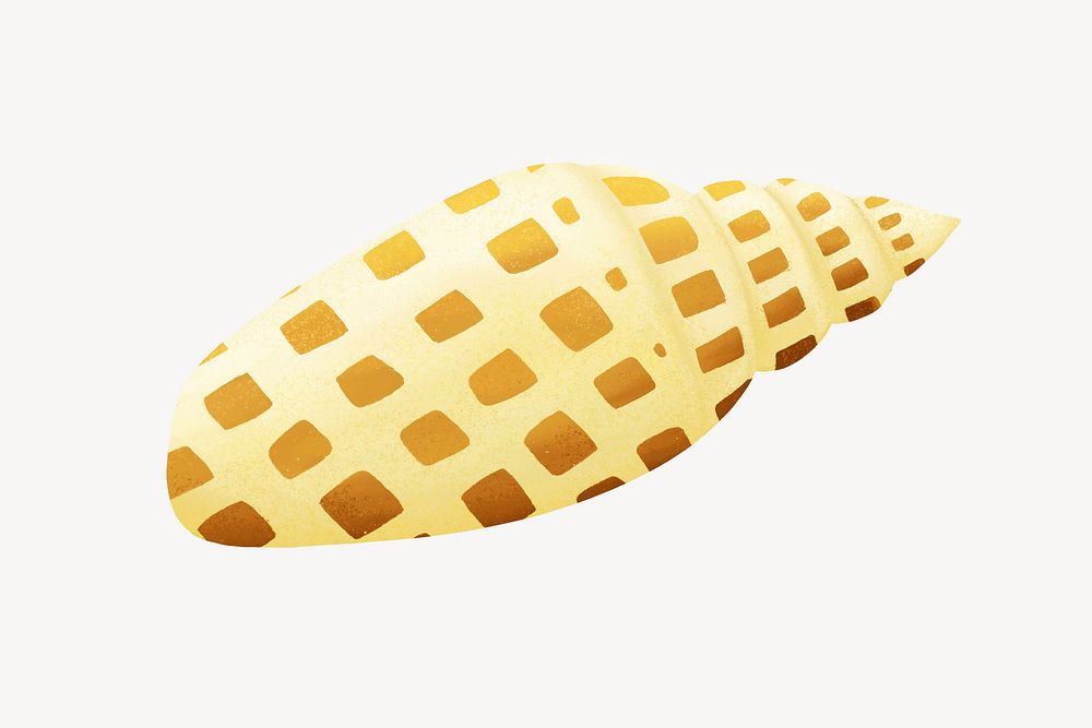 Yellow sea shell, animal illustration