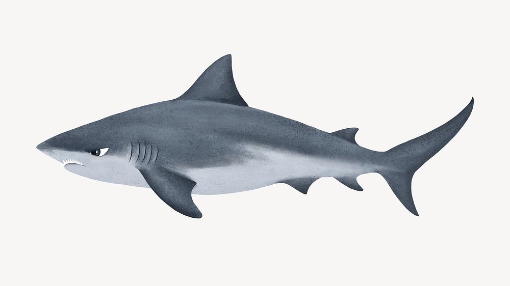 Angry shark desktop wallpaper background