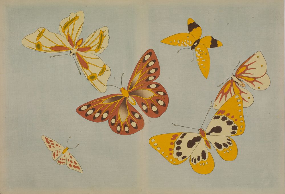 Chō senshu (A Thousand Kinds of Butterflies), Volume 1 by Kamisaka Sekka