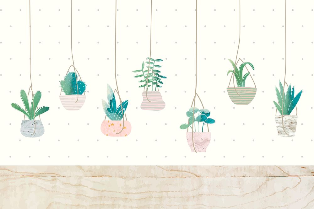 Botany hanging cactus collection background