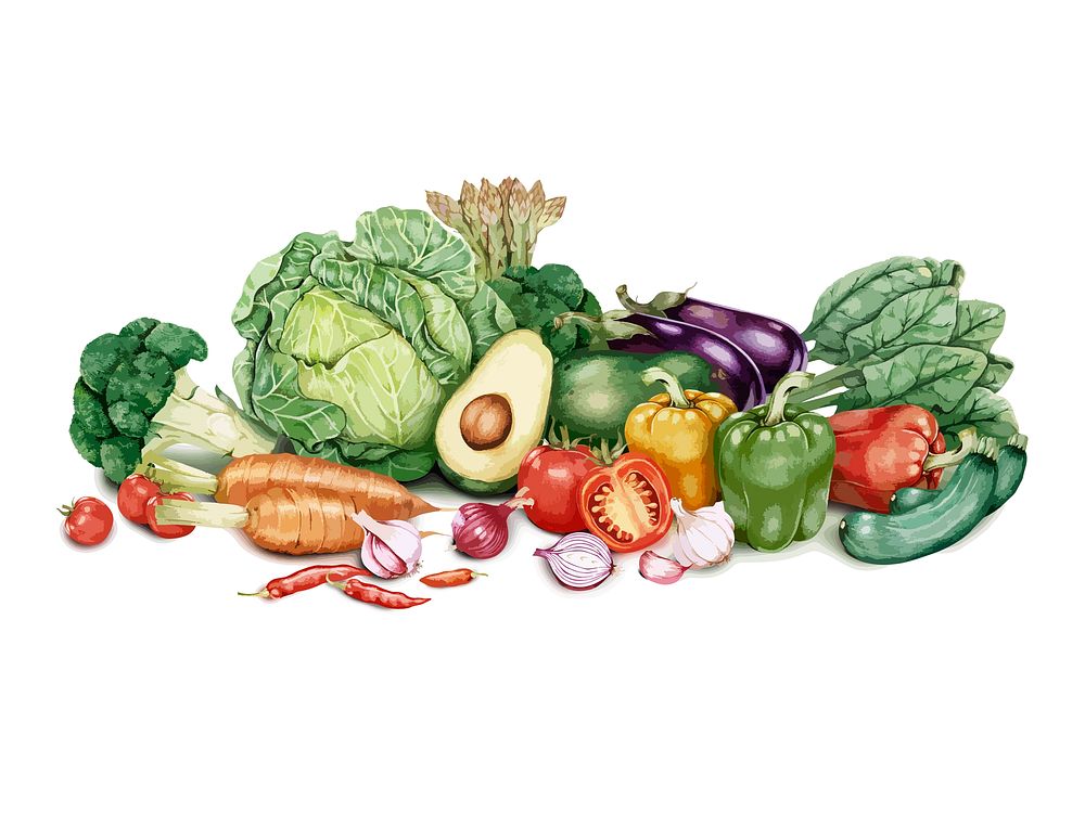 Vegetables drawing in watercolor