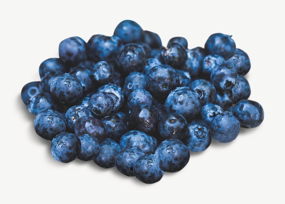 Blueberries image graphic psd