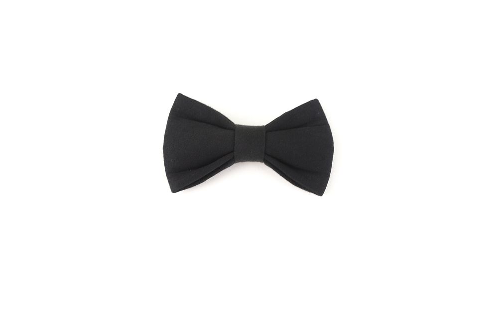 Fancy black bowtie for your pet cat or dog.