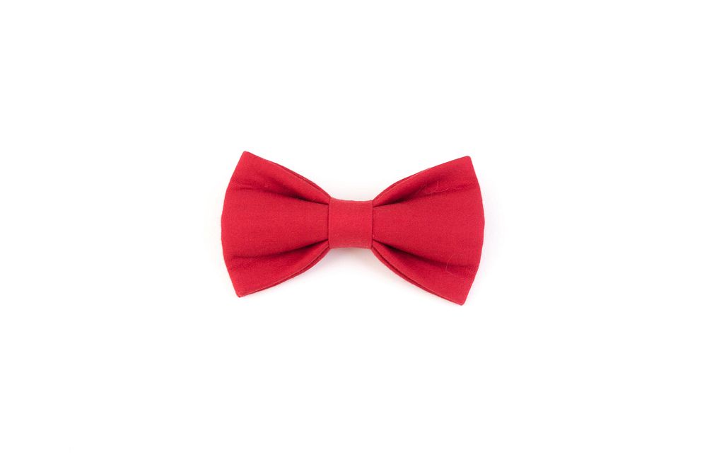 Red bow tie, accessory.