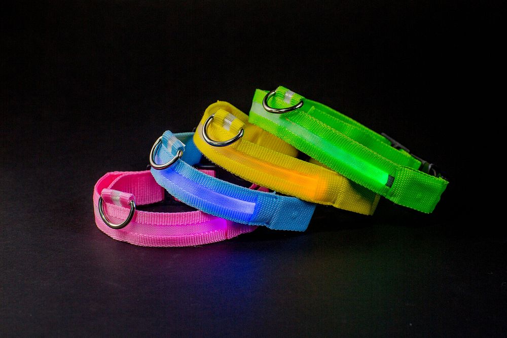 Four different color LED dog collars.