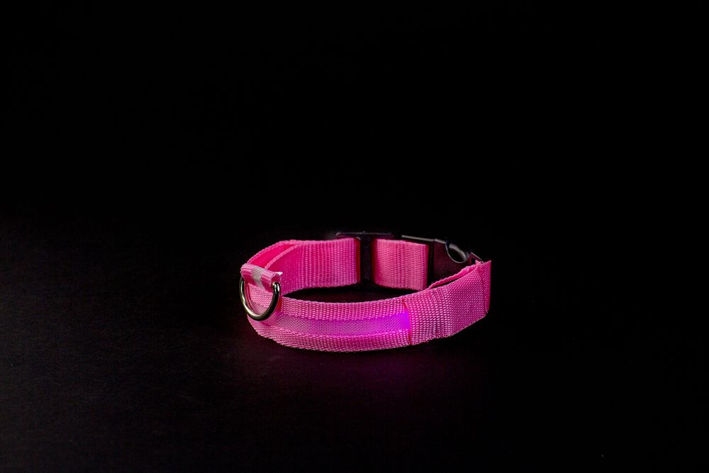 product, photo of pink LED dog collar.