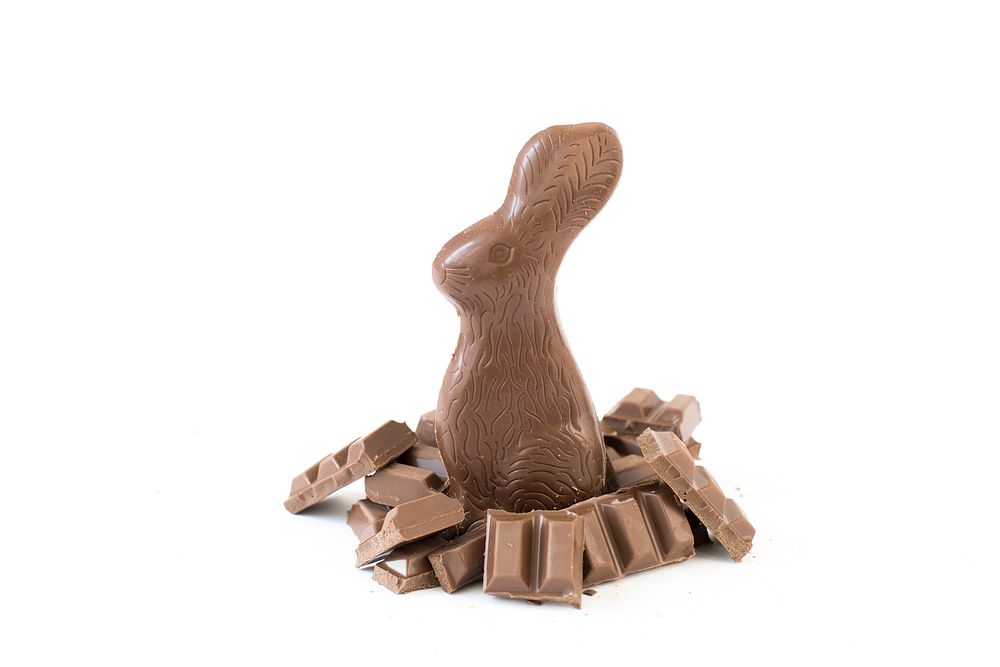 A chocolate easter bunny treat sits amongst a pile of milk chocolate chunks, against a white background.