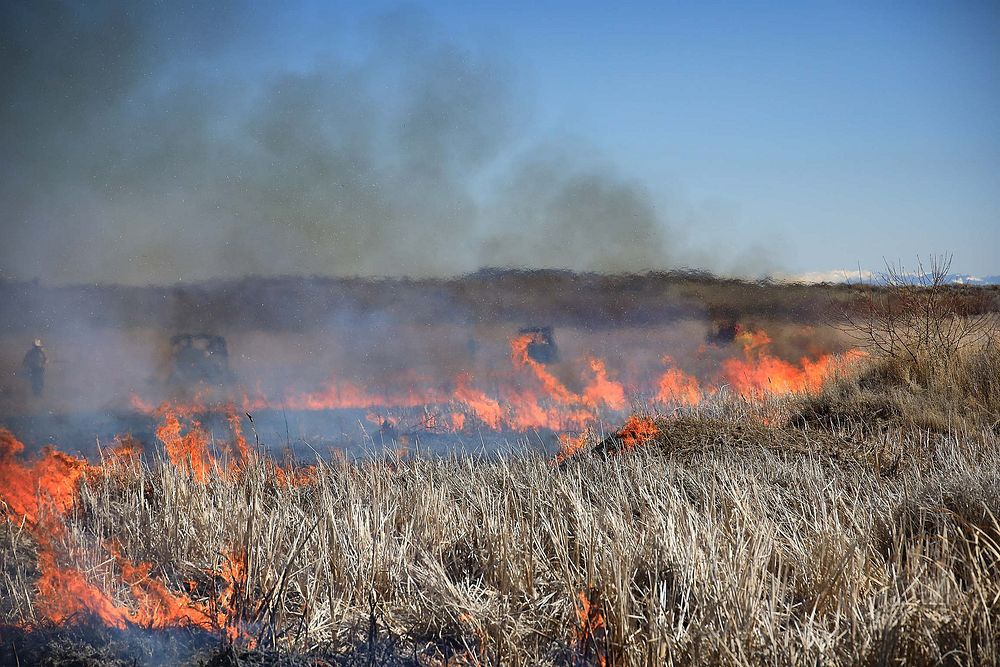 Market Lake Prescribed Fire.