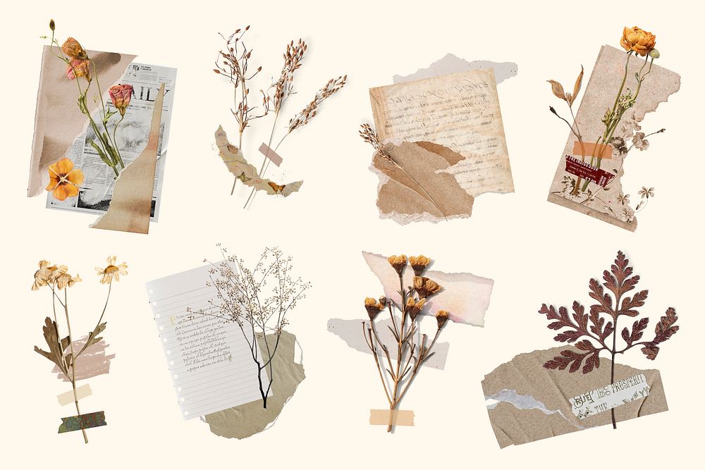 Aesthetic torn paper flower collage collection psd