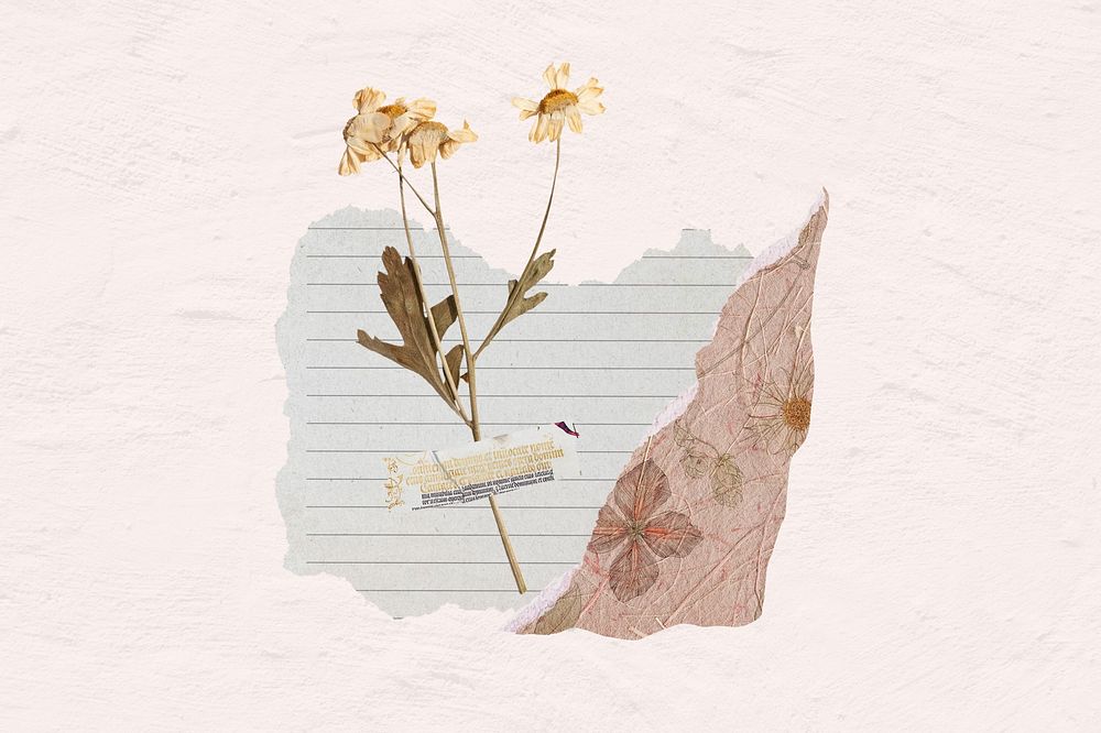 Aesthetic flower paper journal collage art