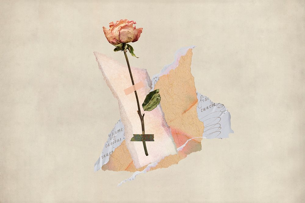 Aesthetic rose torn paper collage art