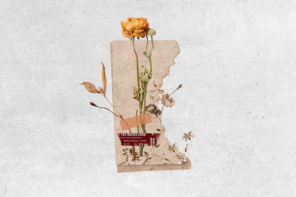 Aesthetic dried flower journal collage art