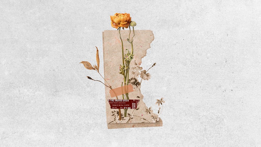 Desktop wallpaper aesthetic dried flower journal, white background